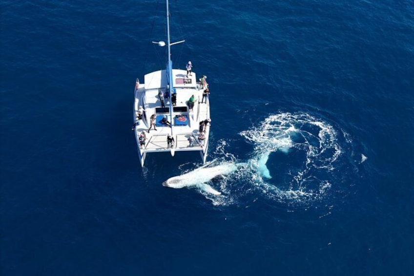 Un barco blanco con gente en la cubierta, en el océano. 4