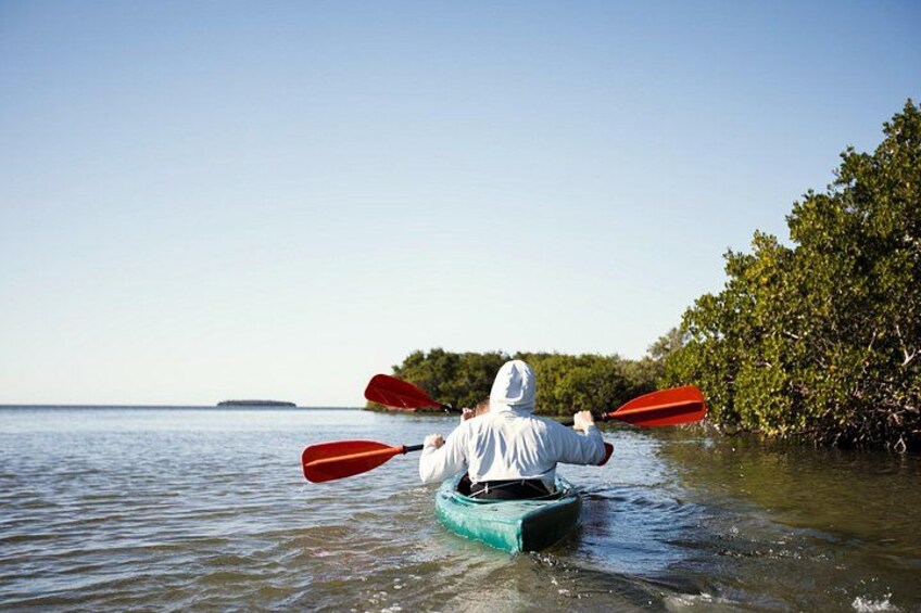 A person kayaking on calm water with a distant island and mangrove trees. 4