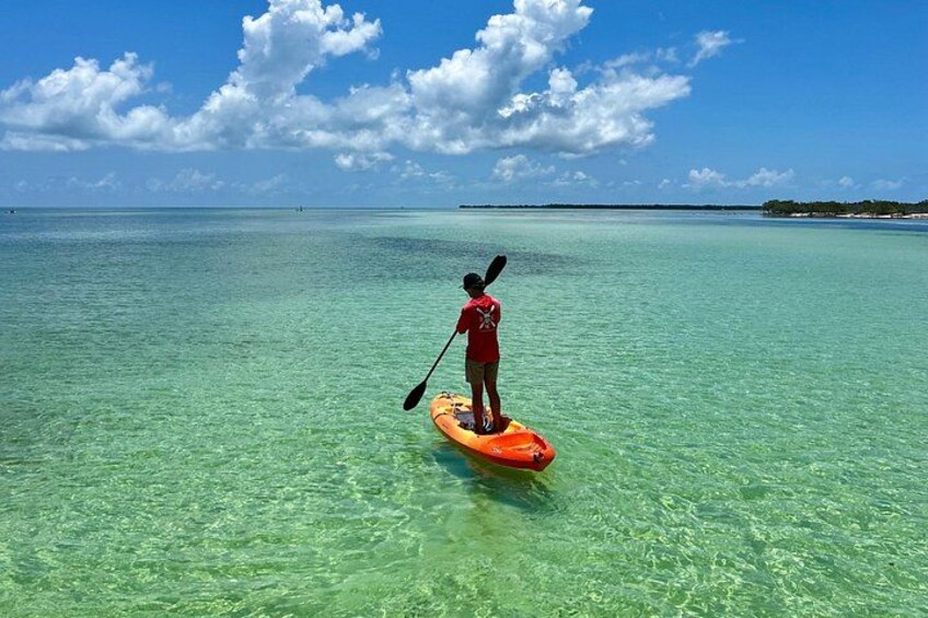 A person paddleboarding on clear turquoise water with a distant shoreline. 5