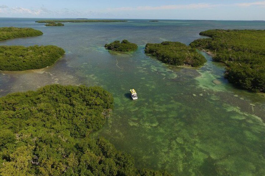 An aerial view of a coastal area with clear waters and several small islands covered with dense vegetation. 2