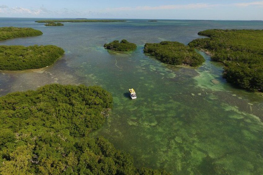 Vista aérea de una zona costera con aguas cristalinas y varias islas pequeñas cubiertas de vegetación densa. 2