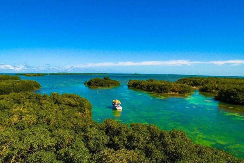 Kayak + Guided Snorkel & Morning Sail hosted by Honest Eco 1