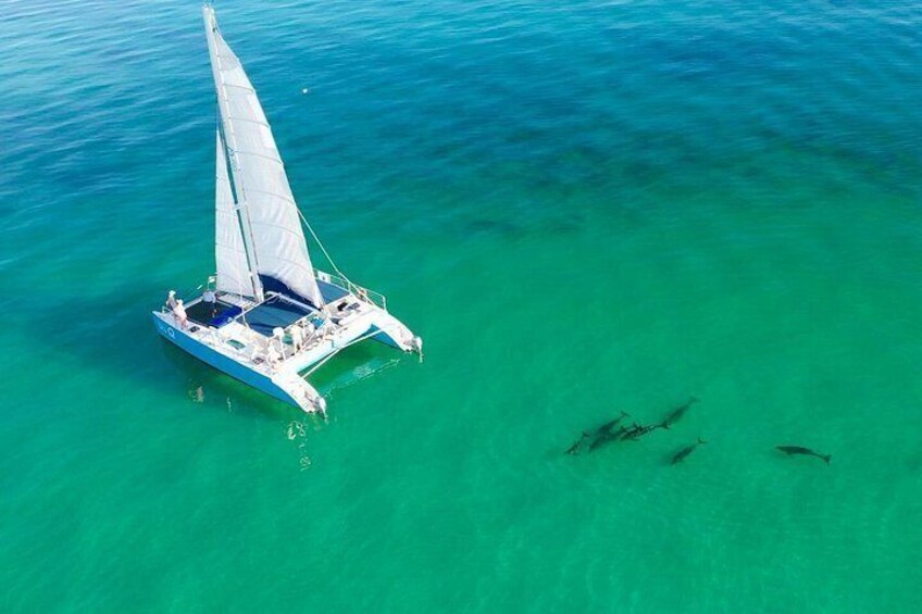Kayak + Guided Snorkel & Morning Sail hosted by Honest Eco 3