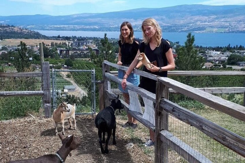 Off the Grid Winery in West Kelowna 2