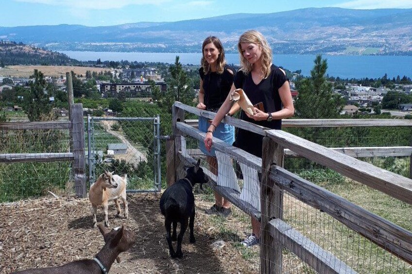 Off the Grid Winery in West Kelowna 2