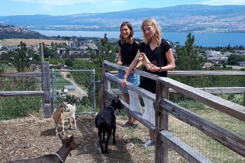 Off the Grid Winery in West Kelowna 2