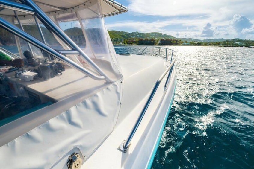 Snorkel St. John Tour from Sapphire and Margaritaville 3