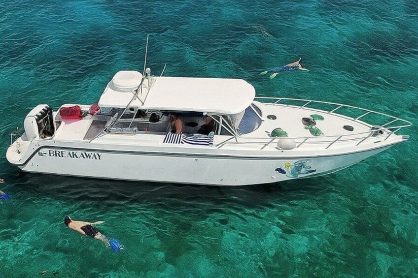 Snorkel St. John Tour from Sapphire and Margaritaville 1