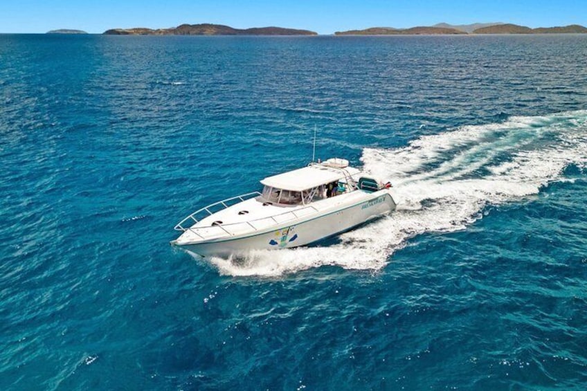 Snorkel St. John Tour from Sapphire and Margaritaville 4