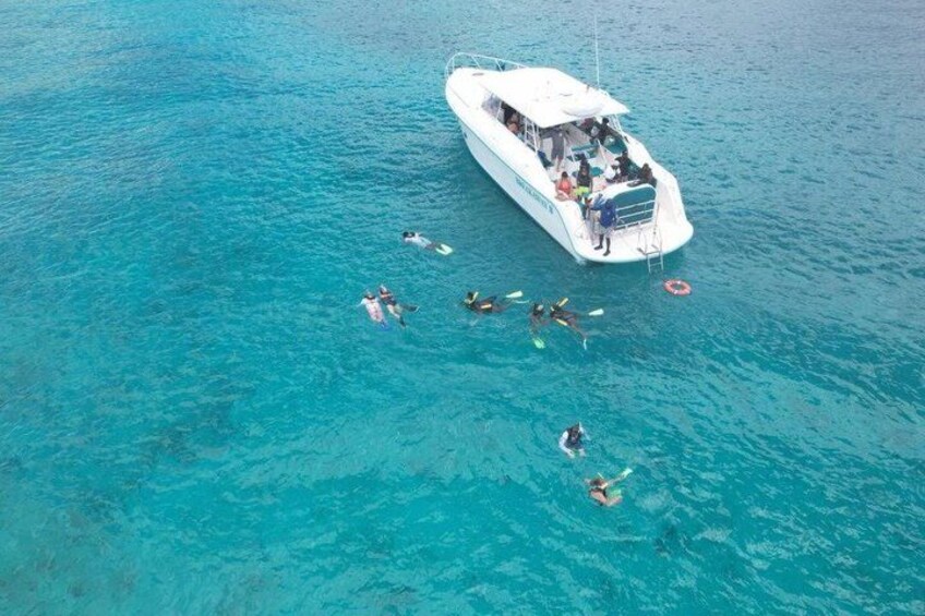 Snorkel St. John Tour from Sapphire and Margaritaville 3