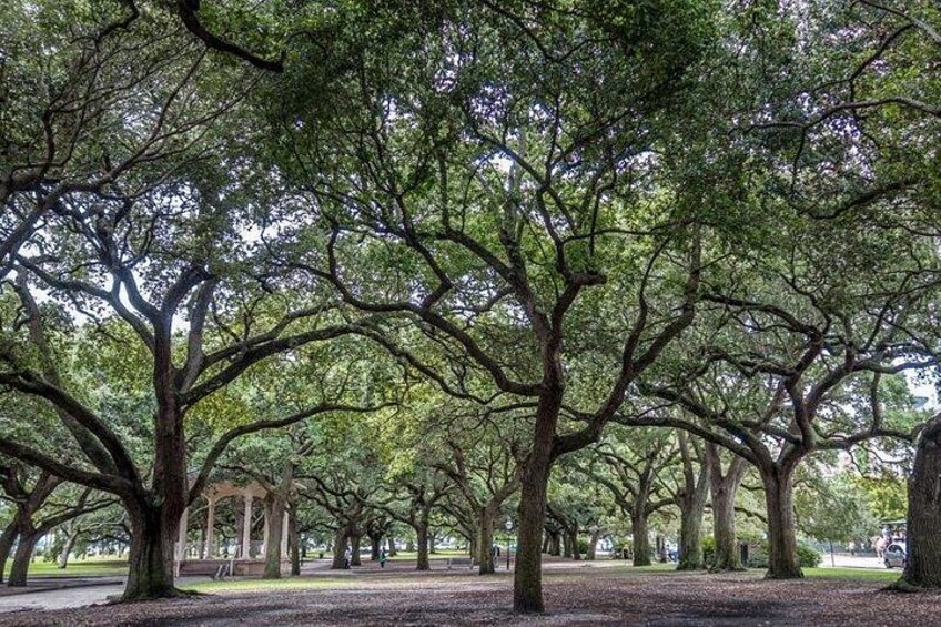 A park with large trees and a gazebo. 2