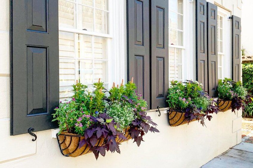 A building with dark shutters and flower boxes filled with various plants. 3