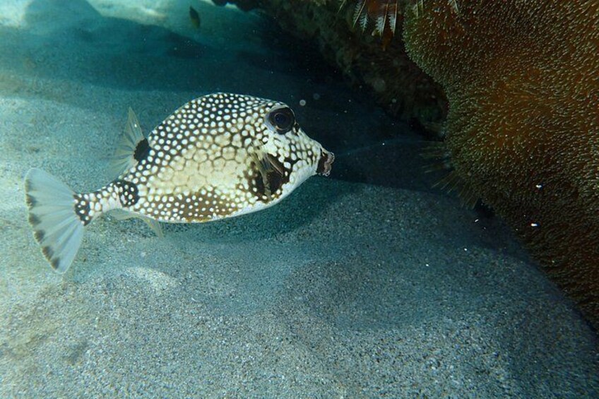 Cas Cay - Kayak Hike and Snorkel Adventure 5