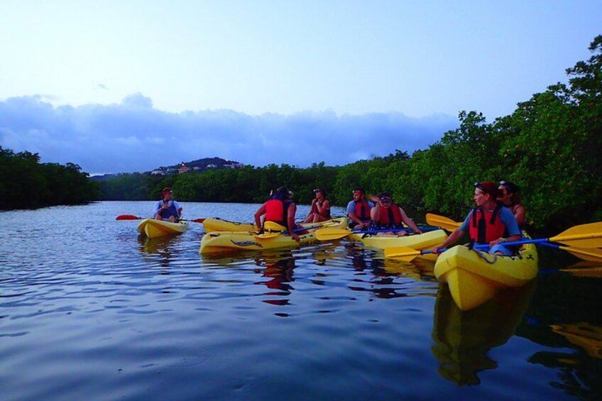 People kayaking on a calm river surrounded by greenery. 1