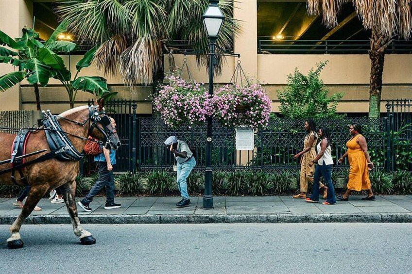 Un carruaje tirado por caballos, peatones y un edificio con una cerca negra y plantas con flores. 1