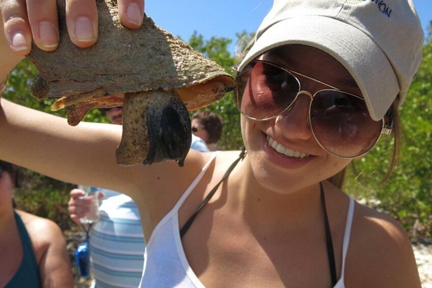 A person holding a large piece of driftwood. 2