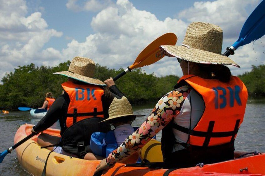 Dolphin & Manatee Kayaking Tour in Orlando Area 2