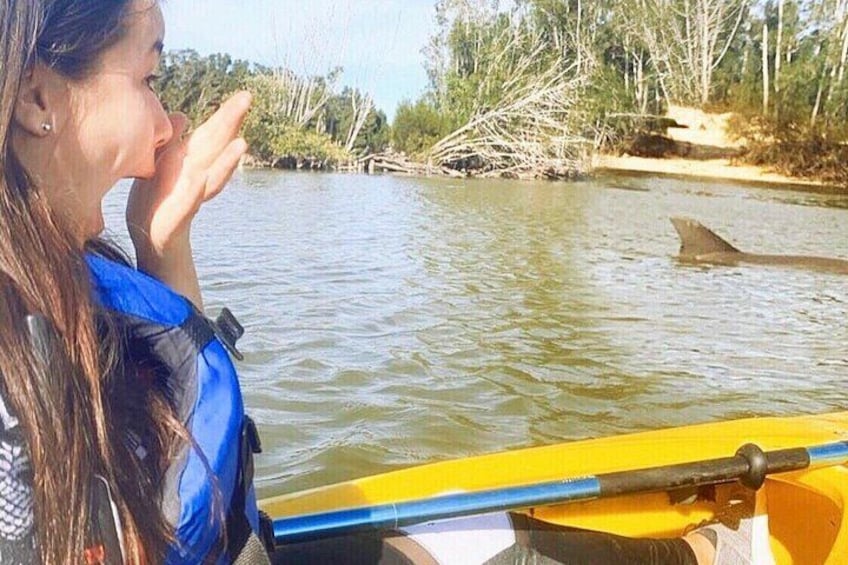 Dolphin & Manatee Kayaking Tour in Orlando Area 3