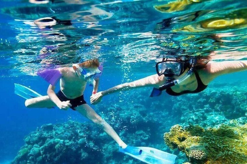 SkyReef Snorkel 1