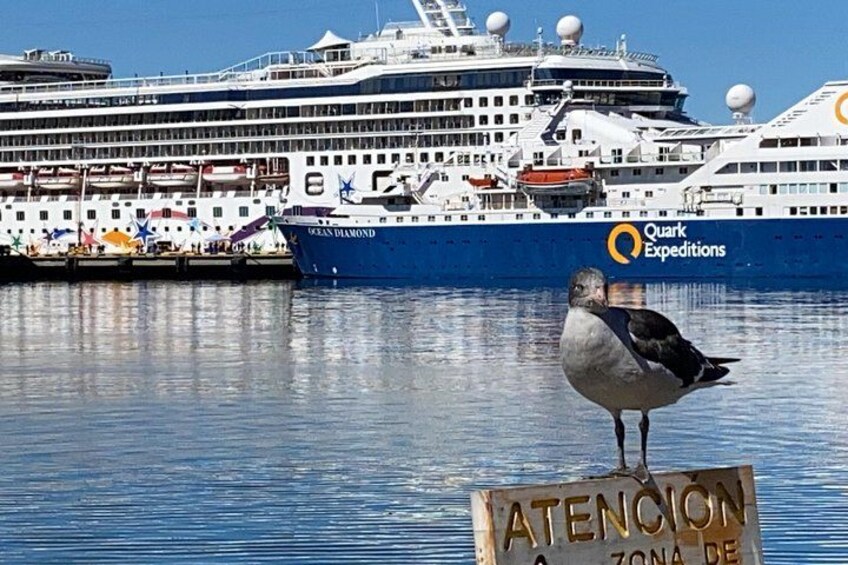 2 activities in Ushuaia + 2 activities in El Calafate (in 2 days) 3