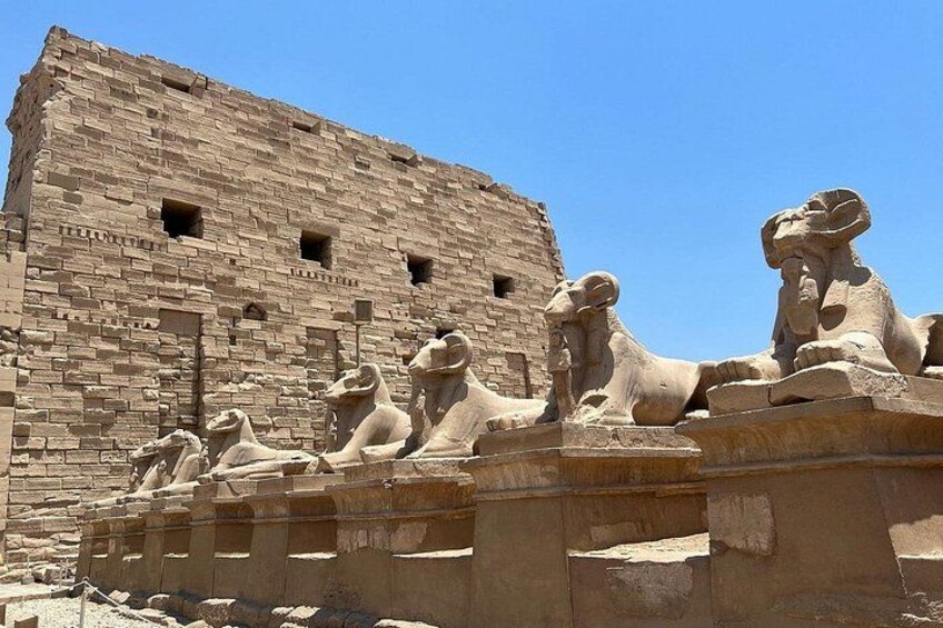 A stone building with a row of sphinx statues in front. 2