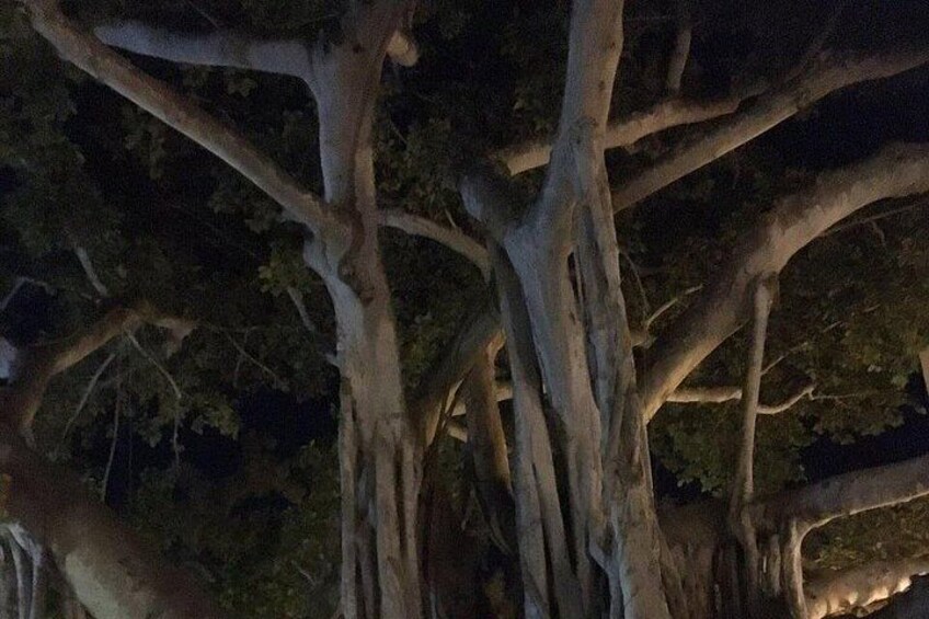Haunted History of Fort Myers Walking Tour 3