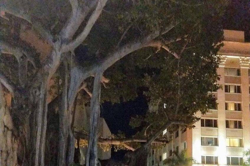 Haunted History of Fort Myers Walking Tour 4