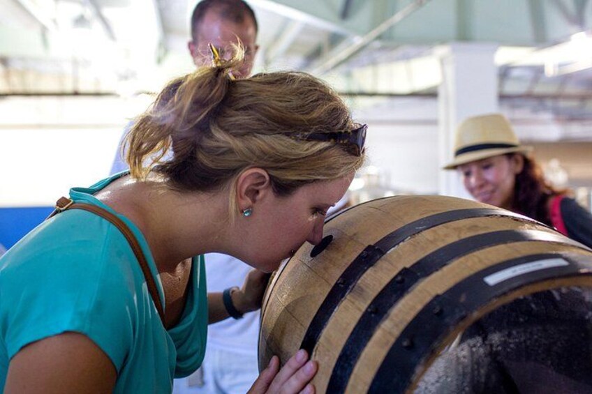Rum Tasting and Food Walking Tour in Nassau Bahamas 3