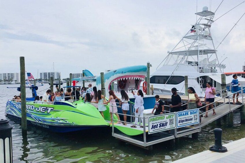 Dolphin Cruise in Destin FL 4