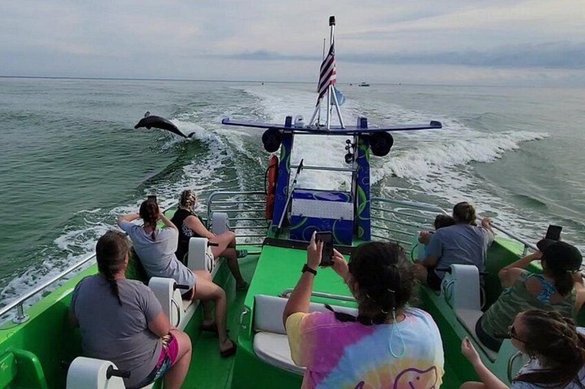 Dolphin Cruise in Destin FL 4