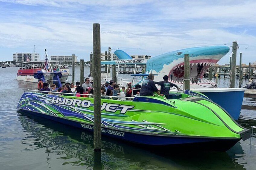 Dolphin Cruise in Destin FL 5