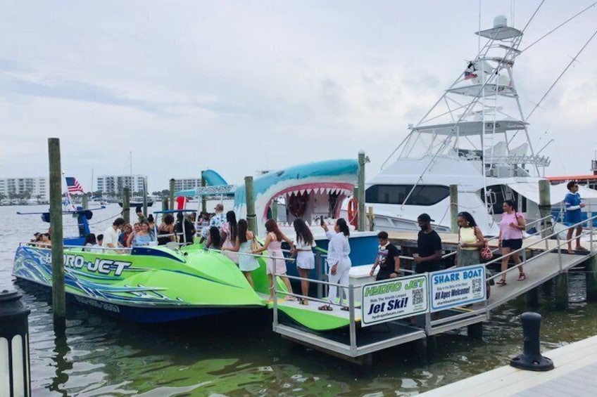 Dolphin Cruise in Destin FL 4