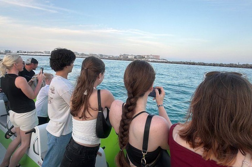 Dolphin Cruise in Destin FL 2