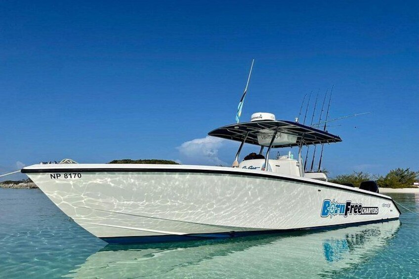 A white boat with the number NP 8170 on its side, docked in clear blue water with a tropical landscape in the background. 1