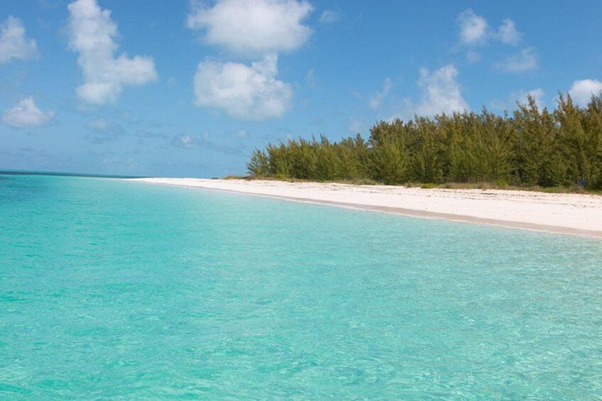 Private Speed Boat for Snorkeling or Fishing in Nassau - 34ft 3