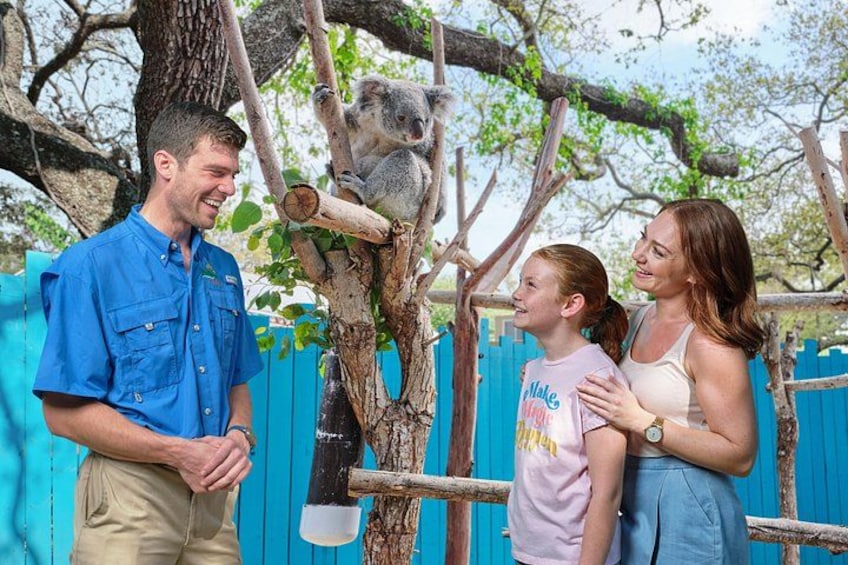 ZooTampa at Lowry Park Admission Ticket 3