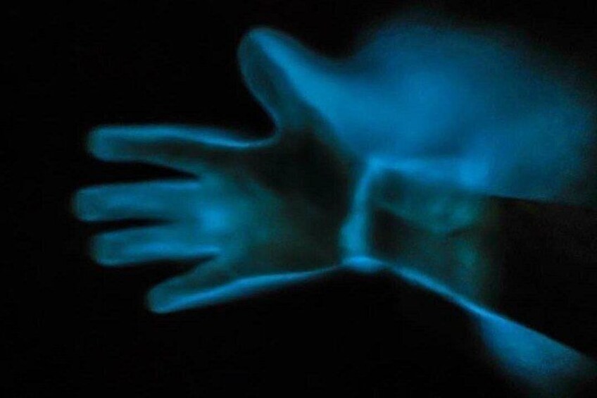 Bioluminescence Kayak Tour 4