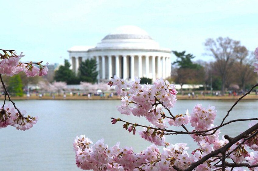 DC in a Day: 10+ Monuments, Boat Cruise, National Mall, Tickets 2