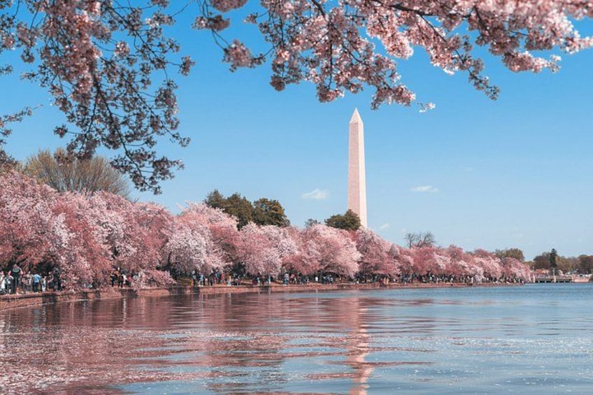 DC in a Day: 10+ Monuments, Boat Cruise, National Mall, Tickets 2