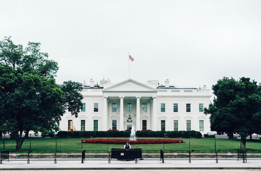 DC in a Day: 10+ Monuments, Boat Cruise, National Mall, Tickets 4