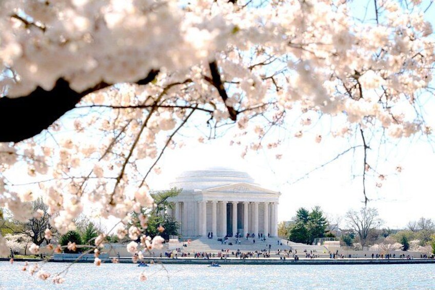 DC in a Day: 10+ Monuments, Boat Cruise, National Mall, Tickets 2