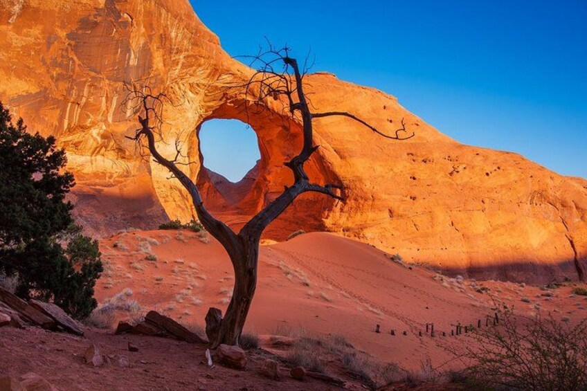 A tree in front of a rock arch with a clear blue sky. 1