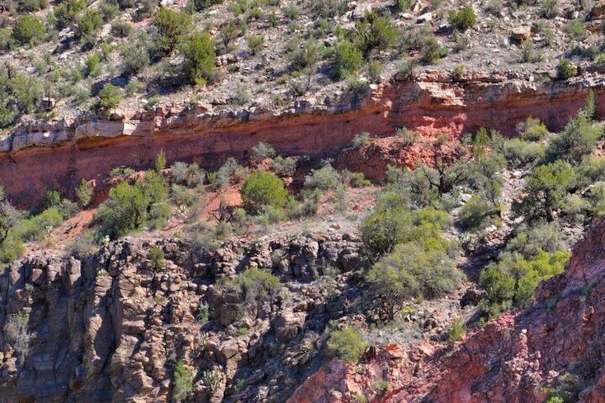 Verde Canyon Railroad Adventure Package 3