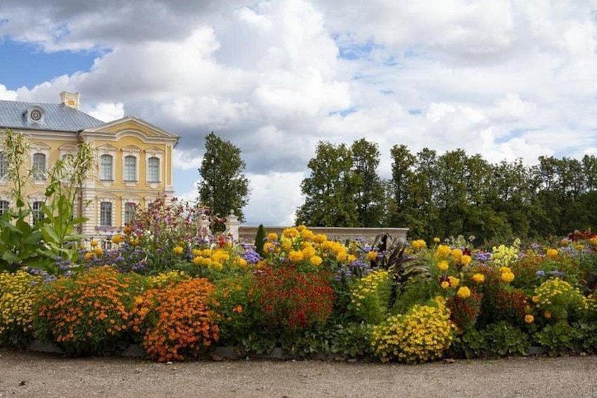 Rundale palace flowers 4