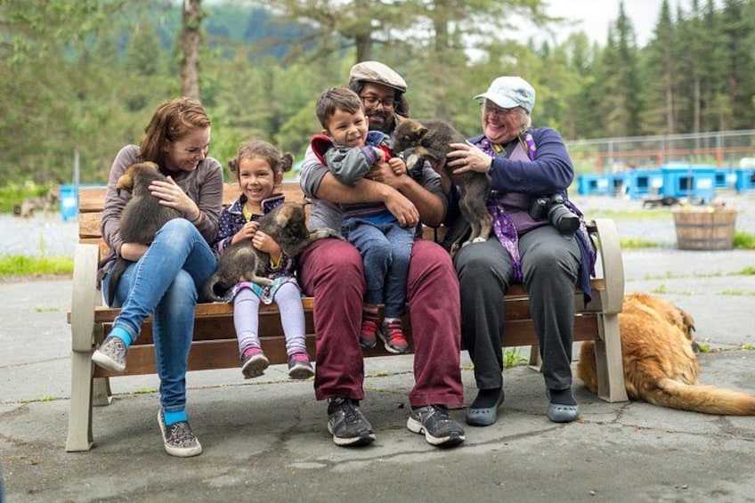 Turning Heads Kennel Dogsledding Experience & Tour 5