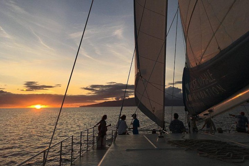 Maui Sunset Sail 5