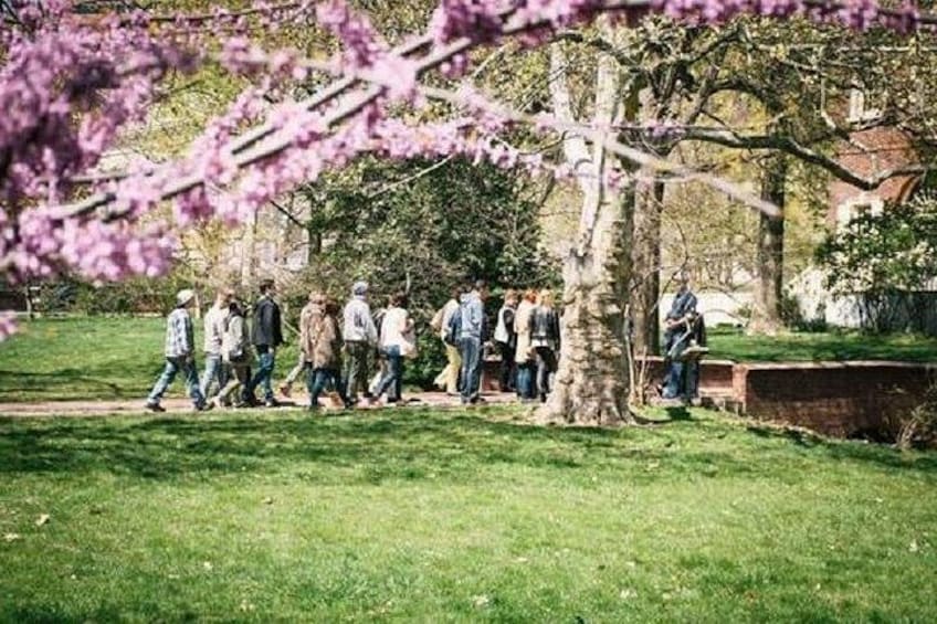 A group of people walking in a park with trees and grass. 2