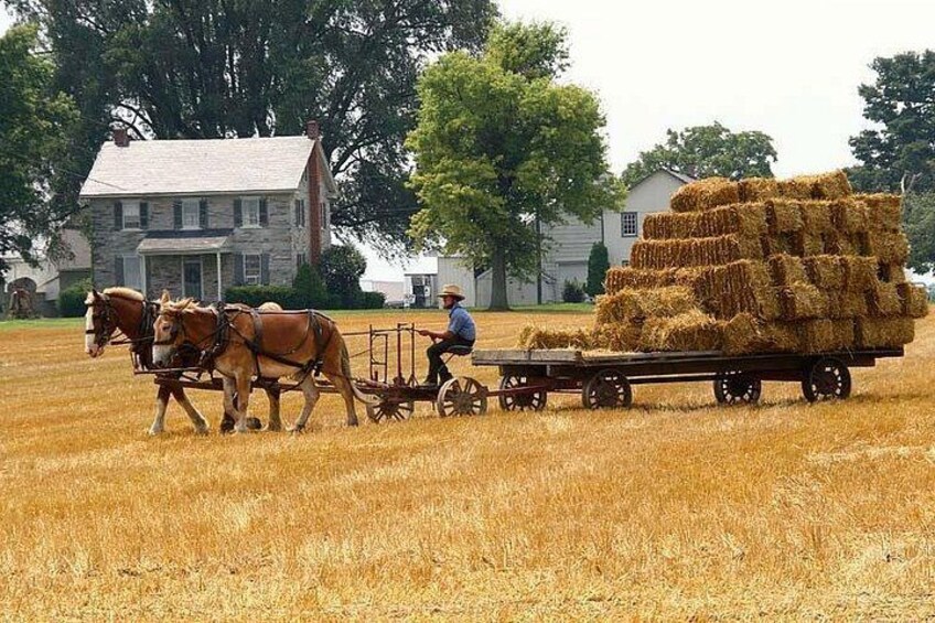 Amish Farmlands 3