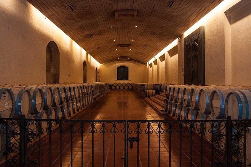 A wine cellar with rows of barrels and a wooden ceiling. 5