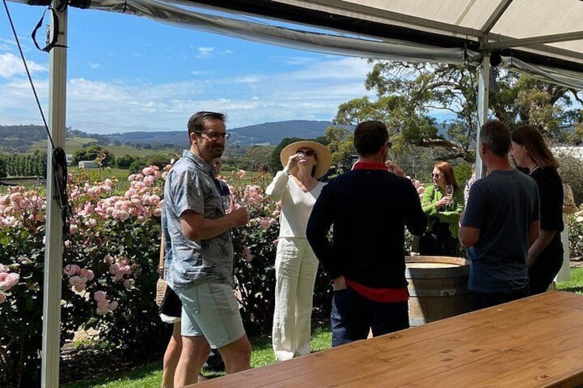 Hanging Rock Winery 4
